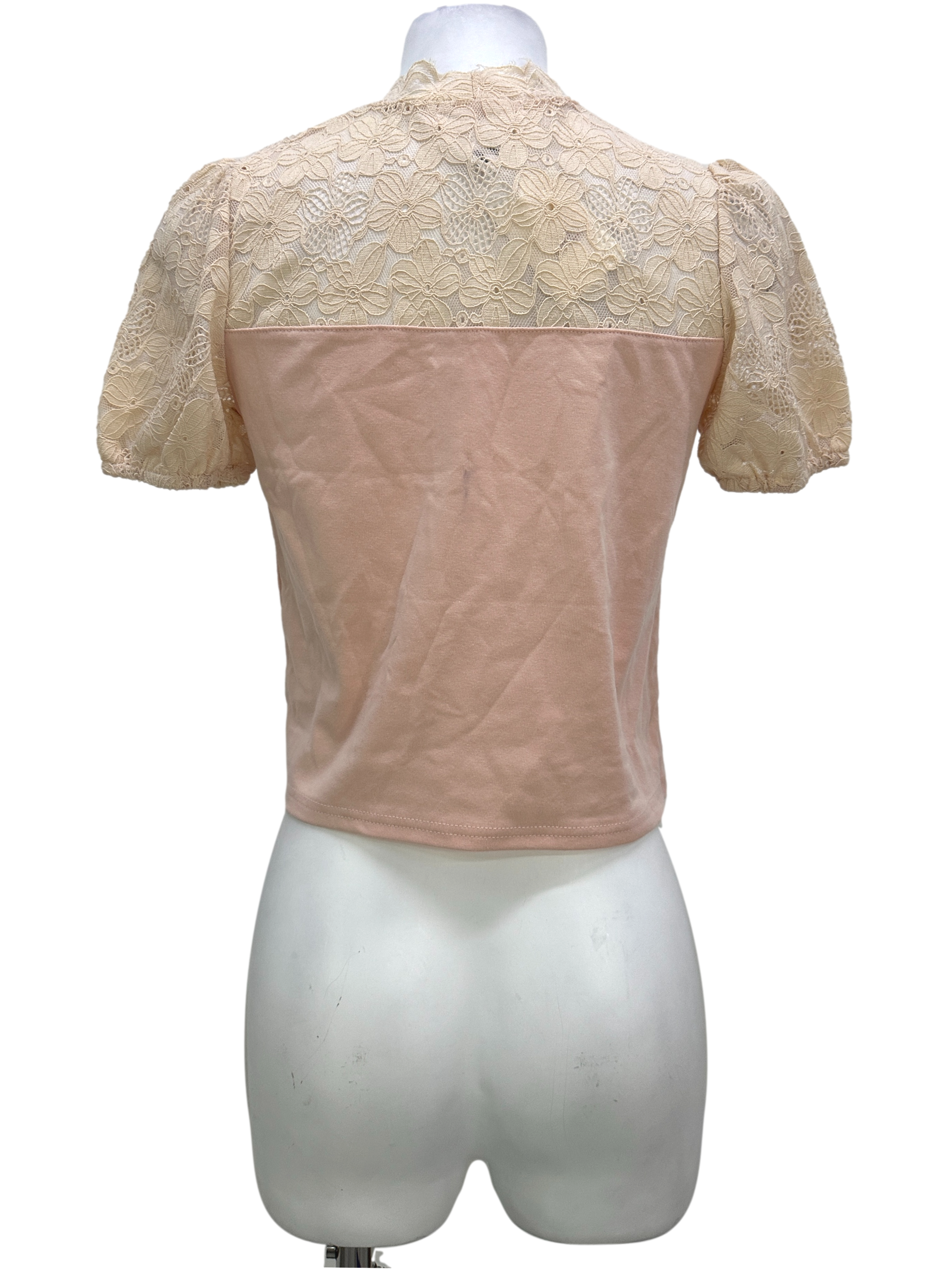 Pink Lacy High Neck Blouse