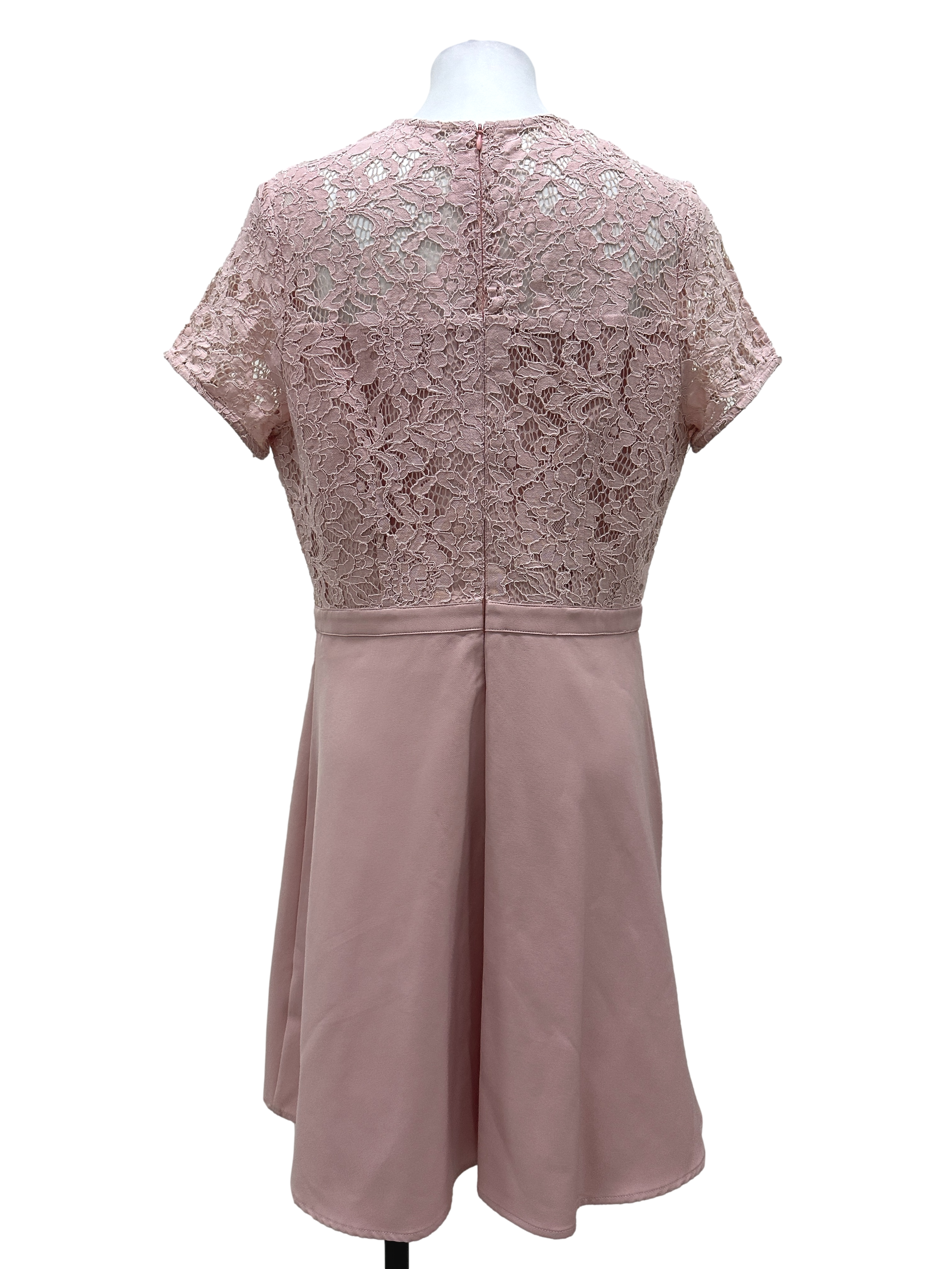 Pastel Pink Floral Lace Illusion Neck A-Line Dress