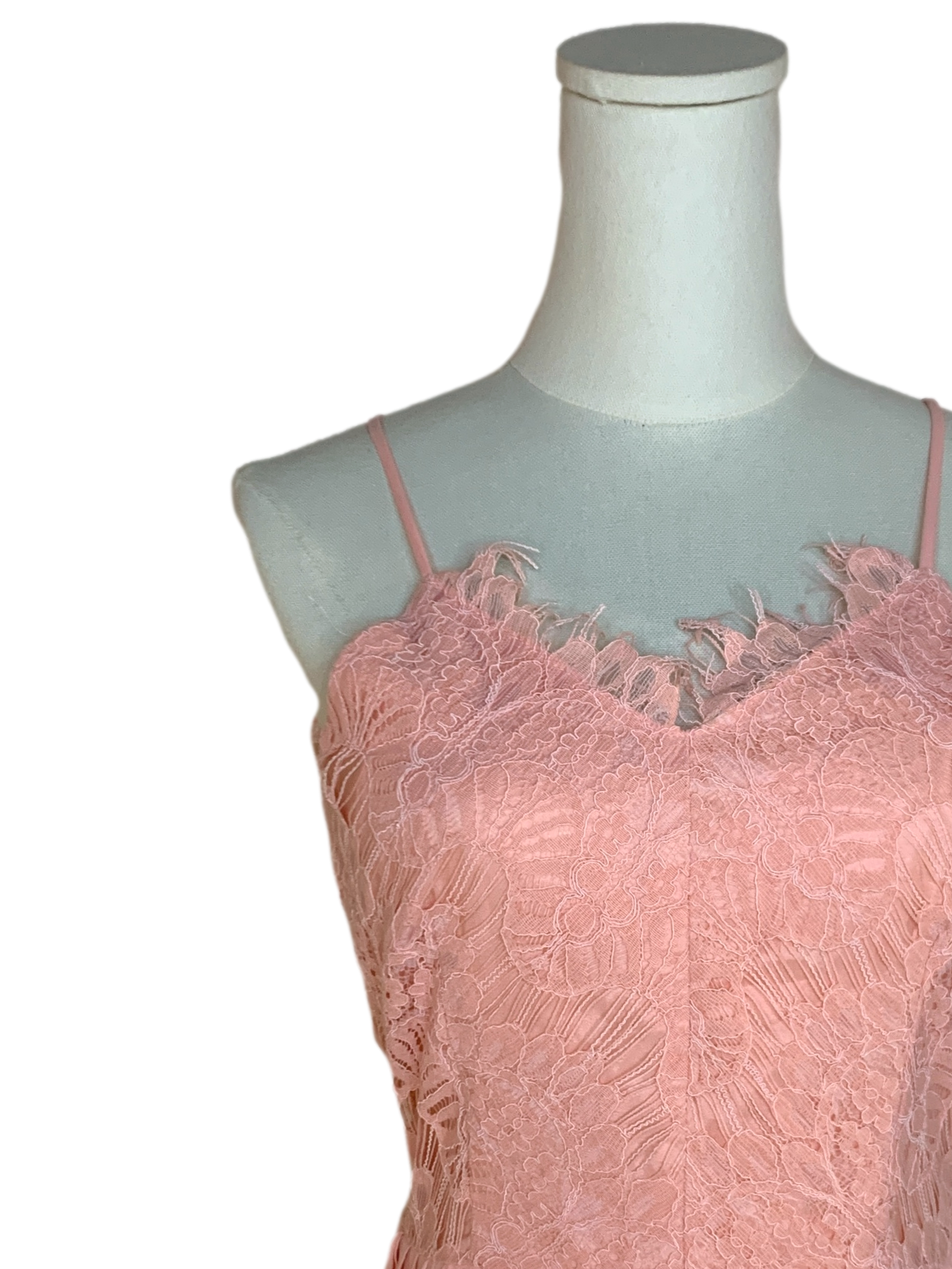 Salmon Pink Laced Empire Dress